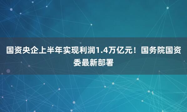 国资央企上半年实现利润1.4万亿元！国务院国资委最新部署