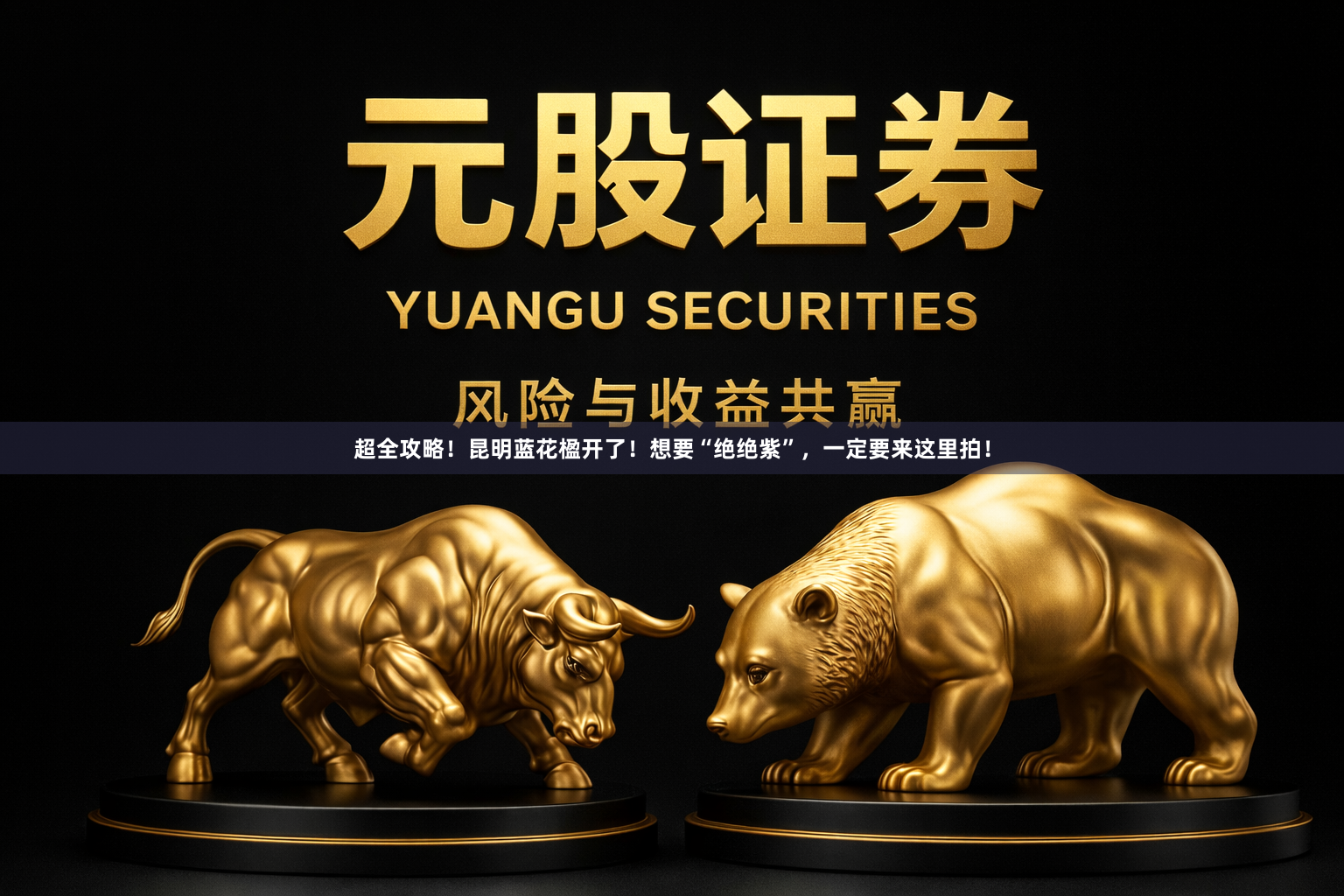 超全攻略！昆明蓝花楹开了！想要“绝绝紫”，一定要来这里拍！