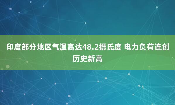 印度部分地区气温高达48.2摄氏度 电力负荷连创历史新高