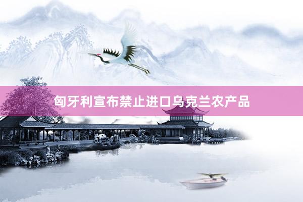 匈牙利宣布禁止进口乌克兰农产品