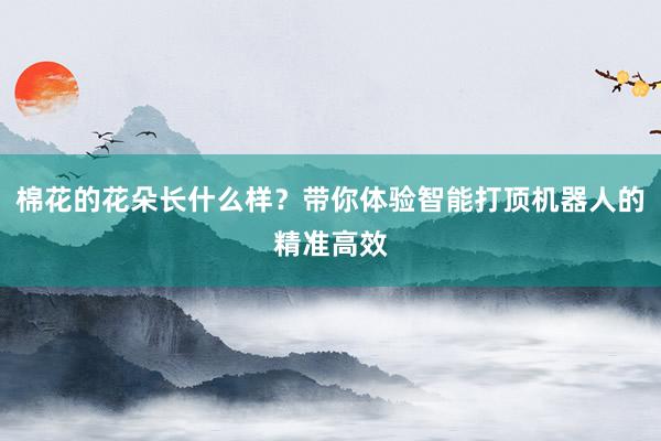 棉花的花朵长什么样？带你体验智能打顶机器人的精准高效