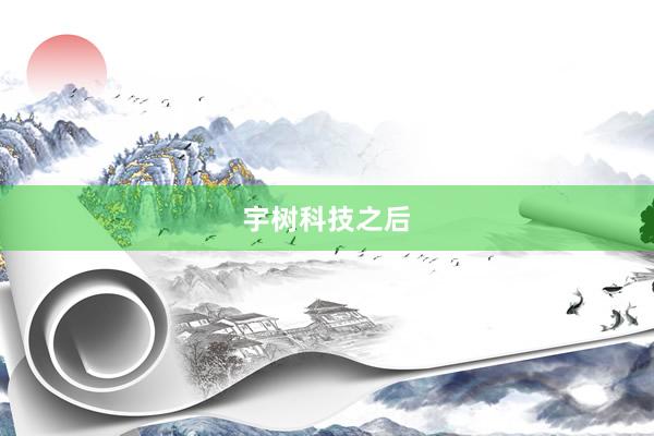 宇树科技之后