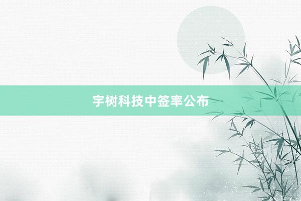 宇树科技中签率公布