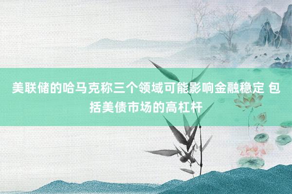 美联储的哈马克称三个领域可能影响金融稳定 包括美债市场的高杠杆