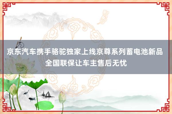 京东汽车携手骆驼独家上线京尊系列蓄电池新品 全国联保让车主售后无忧