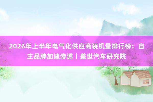 2026年上半年电气化供应商装机量排行榜：自主品牌加速渗透丨盖世汽车研究院