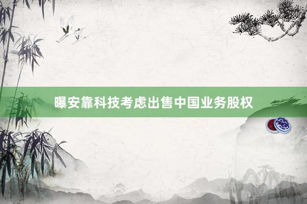 曝安靠科技考虑出售中国业务股权