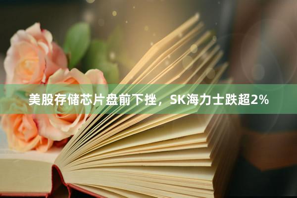 美股存储芯片盘前下挫，SK海力士跌超2%
