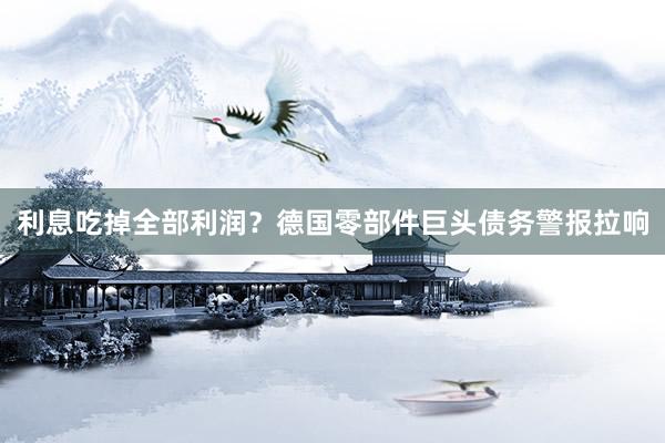 利息吃掉全部利润？德国零部件巨头债务警报拉响
