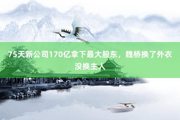 75天新公司170亿拿下最大股东，魏桥换了外衣没换主人