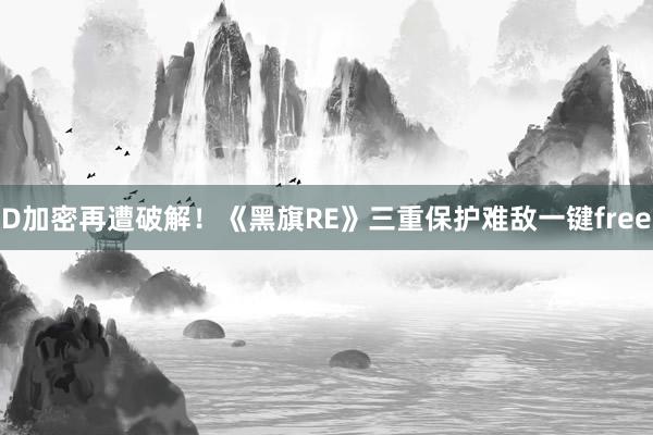 D加密再遭破解！《黑旗RE》三重保护难敌一键free