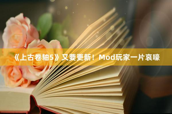 《上古卷轴5》又要更新！Mod玩家一片哀嚎