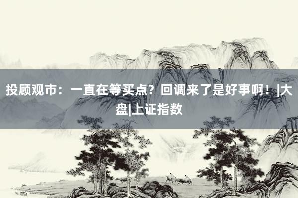 投顾观市：一直在等买点？回调来了是好事啊！|大盘|上证指数