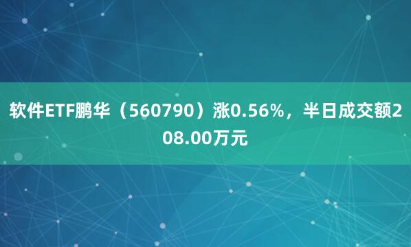 软件ETF鹏华（560790）涨0.56%，半日成交额208.00万元