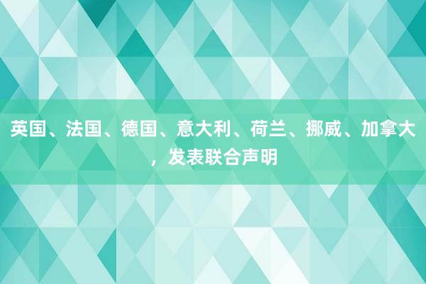 英国、法国、德国、意大利、荷兰、挪威、加拿大，发表联合声明