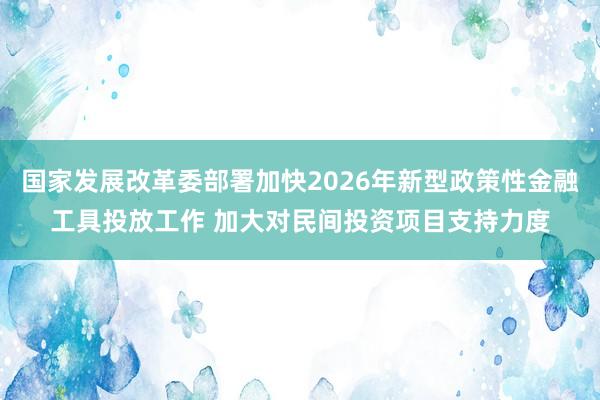 国家发展改革委部署加快2026年新型政策性金融工具投放工作 加大对民间投资项目支持力度
