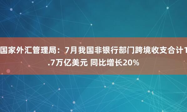 国家外汇管理局：7月我国非银行部门跨境收支合计1.7万亿美元 同比增长20%