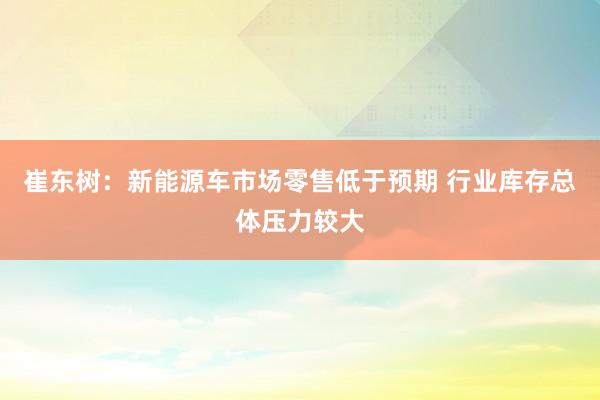 崔东树：新能源车市场零售低于预期 行业库存总体压力较大