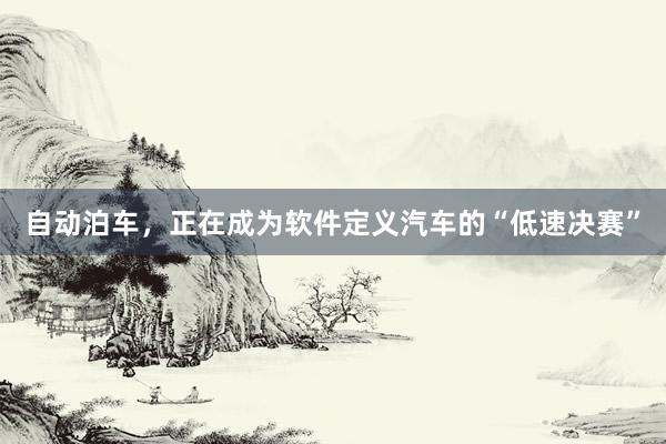 自动泊车，正在成为软件定义汽车的“低速决赛”