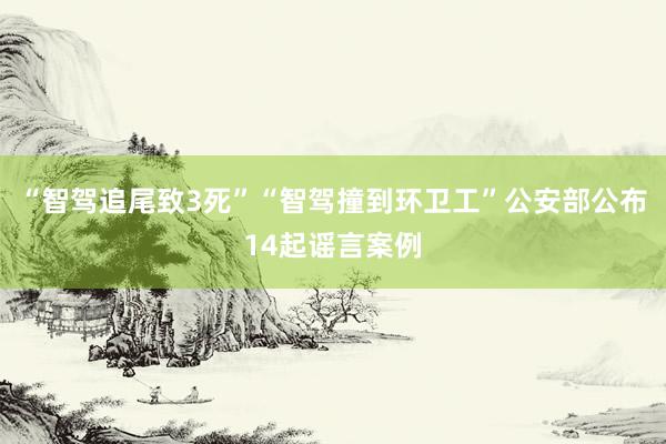 “智驾追尾致3死”“智驾撞到环卫工”公安部公布14起谣言案例