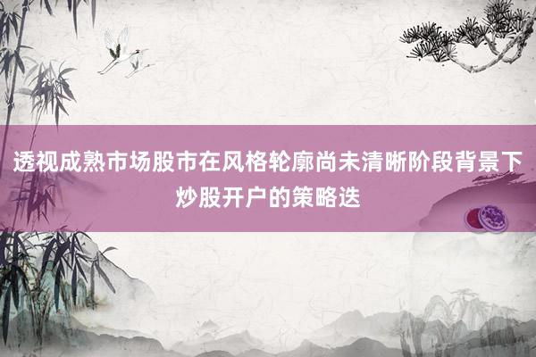 透视成熟市场股市在风格轮廓尚未清晰阶段背景下炒股开户的策略迭