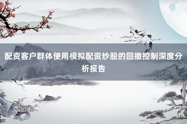配资客户群体使用模拟配资炒股的回撤控制深度分析报告
