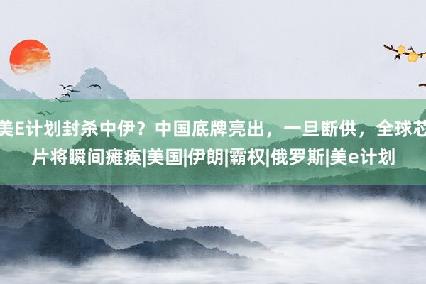 美E计划封杀中伊？中国底牌亮出，一旦断供，全球芯片将瞬间瘫痪|美国|伊朗|霸权|俄罗斯|美e计划