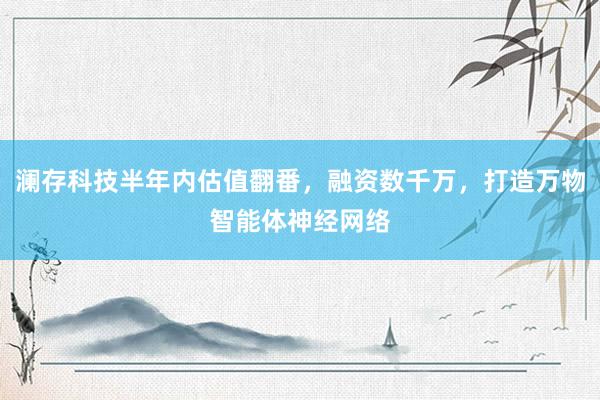 澜存科技半年内估值翻番，融资数千万，打造万物智能体神经网络