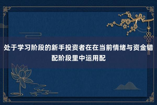 处于学习阶段的新手投资者在在当前情绪与资金错配阶段里中运用配