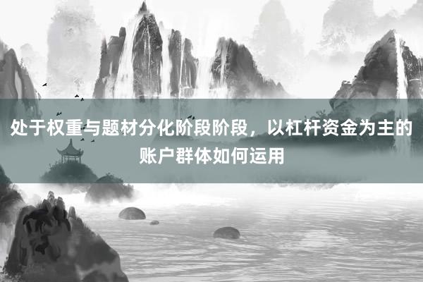 处于权重与题材分化阶段阶段，以杠杆资金为主的账户群体如何运用