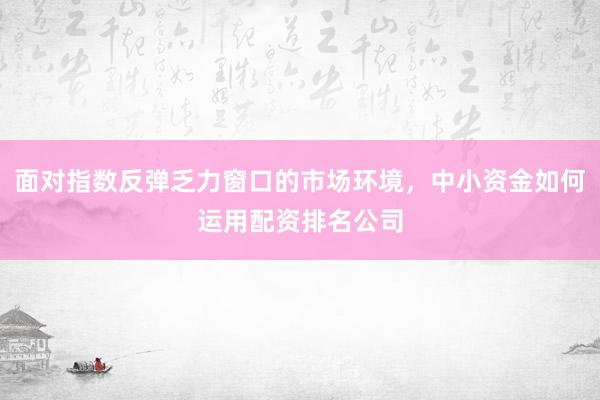 面对指数反弹乏力窗口的市场环境，中小资金如何运用配资排名公司