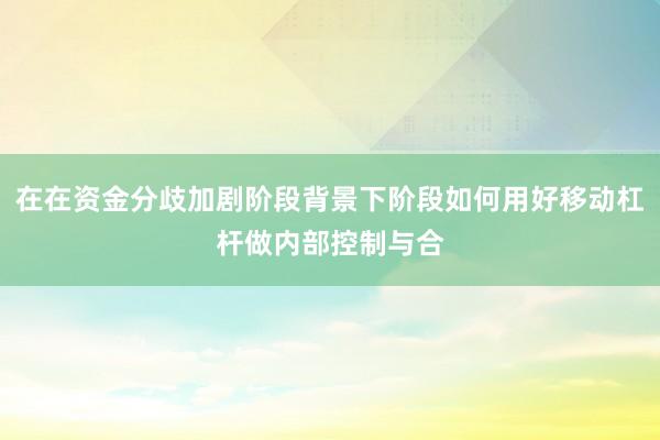 在在资金分歧加剧阶段背景下阶段如何用好移动杠杆做内部控制与合
