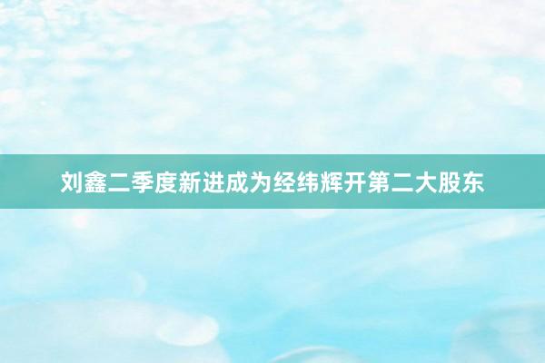 刘鑫二季度新进成为经纬辉开第二大股东