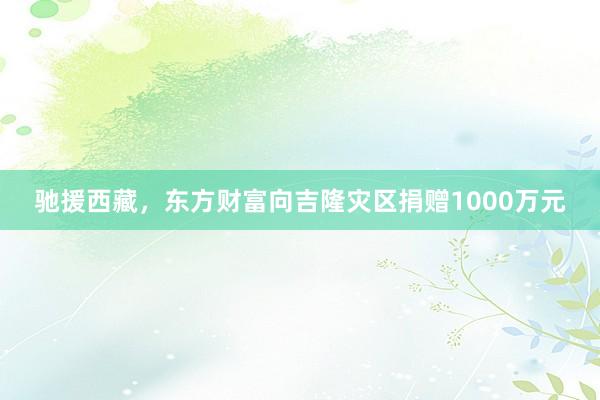 驰援西藏，东方财富向吉隆灾区捐赠1000万元