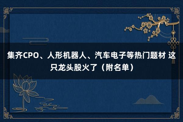 集齐CPO、人形机器人、汽车电子等热门题材 这只龙头股火了（附名单）
