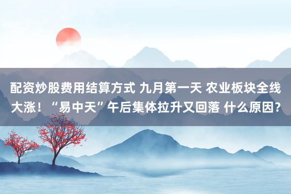 配资炒股费用结算方式 九月第一天 农业板块全线大涨!“易中天”午后集体拉升又回落 什么原因?