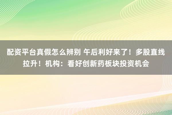 配资平台真假怎么辨别 午后利好来了！多股直线拉升！机构：看好创新药板块投资机会