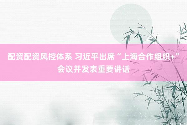 配资配资风控体系 习近平出席“上海合作组织+”会议并发表重要讲话
