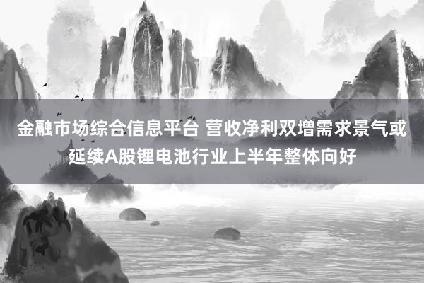 金融市场综合信息平台 营收净利双增　需求景气或延续　A股锂电池行业上半年整体向好