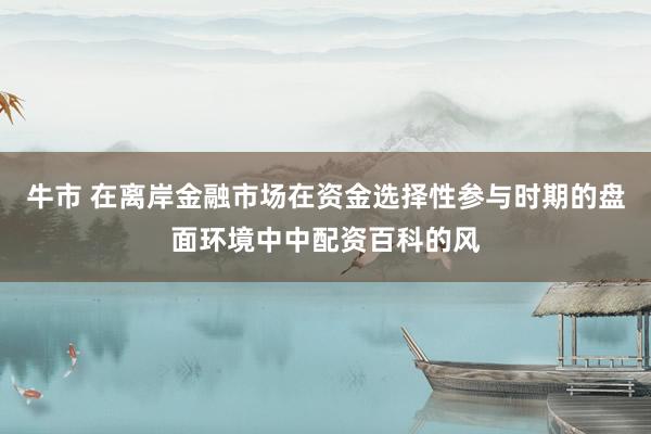 牛市 在离岸金融市场在资金选择性参与时期的盘面环境中中配资百科的风
