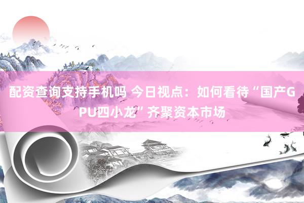 配资查询支持手机吗 今日视点：如何看待“国产GPU四小龙”齐聚资本市场