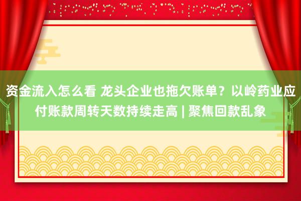 资金流入怎么看 龙头企业也拖欠账单？以岭药业应付账款周转天数持续走高 | 聚焦回款乱象