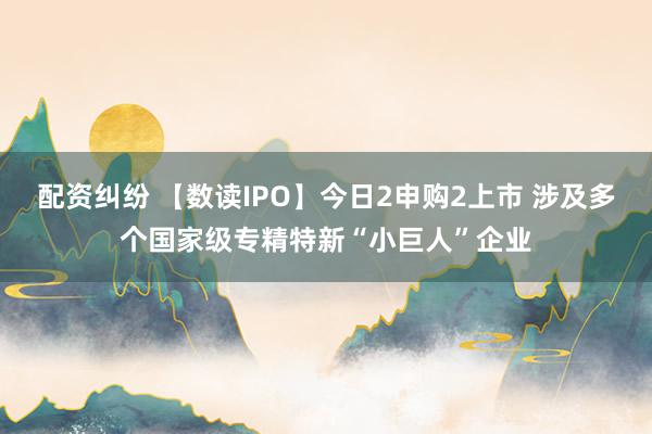 配资纠纷 【数读IPO】今日2申购2上市 涉及多个国家级专精特新“小巨人”企业
