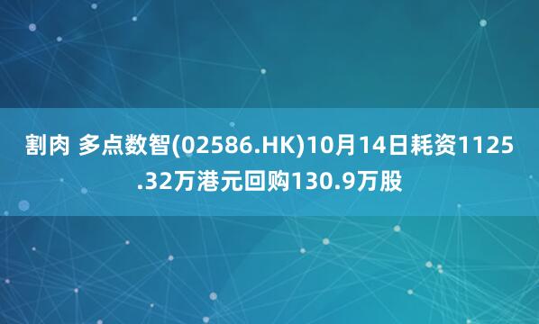 割肉 多点数智(02586.HK)10月14日耗资1125.32万港元回购130.9万股