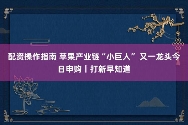 配资操作指南 苹果产业链“小巨人” 又一龙头今日申购丨打新早知道